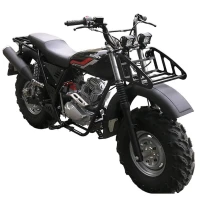 Мотоцикл внедорожный СКАУТ-10 PR250