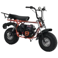 Мотоцикл СКАУТ САФАРИ ПЛЮС 3FL-8Е+ BIGFOOT FORK