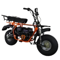 Мотоцикл СКАУТ САФАРИ ПЛЮС 3L-9Е BIGFOOT