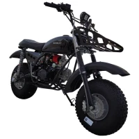 Мотоцикл СКАУТ САФАРИ 4-110