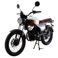 Мотоцикл Roliz (Ekonika) BANDITOS