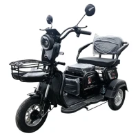 yakama-jelektroskuter-ap-h009-24