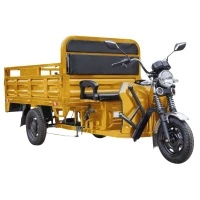 Грузовой электротрицикл Rutrike D4 NEXT 1800 60V1200W