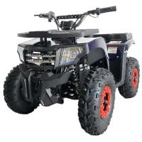 Электрический квадроцикл IKINGI K8 2000W