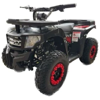 Электрический квадроцикл IKINGI K6 1000W