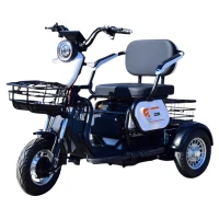 Электротрицикл Terax APKI (SVITYAZ NS003)