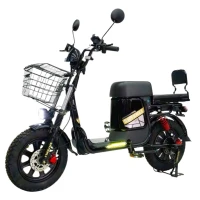 Электровелосипед Shtenli Trekking 55 60V20A 250W