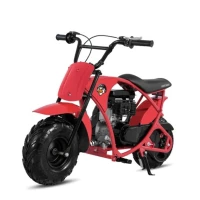 Минибайк Ranger Lucky Duck RB100