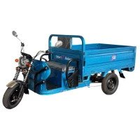 Электротрицикл грузовой SB Cargo