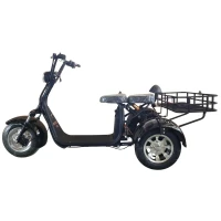 Электротрицикл Shtenli Model 108