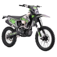 Мотоцикл кроссовый WELS RTX300