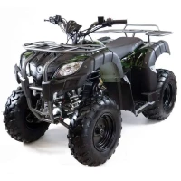 Квадроцикл MOTAX ATV Grizlik T200 (мотокомплект)