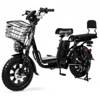 Электровелосипед SHTENLI MONSTER V-12 48V12A