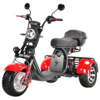 Электротрицикл WHITE SIBERIA PRO TRIKE 3000W