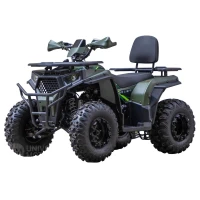 Квадроцикл BRZ Dune 200