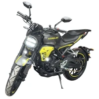 Мотоцикл Regulmoto Nibbler 300