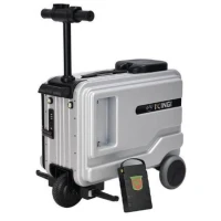 ikingi-jelektrochemodan