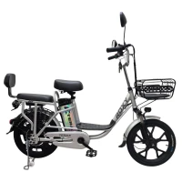 Электровелосипед Terax ROXY NS010