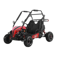 luckyduck-jelektricheskij-vnedorozhnyj-baggi-evx200