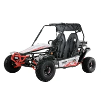 luckyduck-vnedorozhnyj-baggi-uvx200