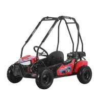 luckyduck-vnedorozhnyj-baggi-uvx100