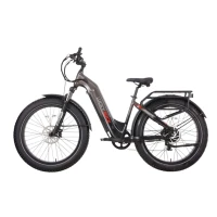 Электровелосипед внедорожный Lucky Duck EFB200 