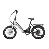 Электровелосипед складной Lucky Duck EZB202