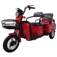 Электротрицикл SMD TRIKE PRO