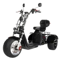 Электроскутер TERAX CityTrike X12 (Х2)