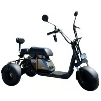 Электротрицикл Tsunami CITYCOCO E3