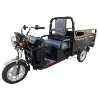 Грузовой электроскутер Tsunami E2