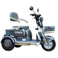 Электротрицикл Terax СОЮЗ NS-X3