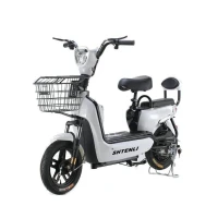 Электровелосипед Shtenli GT 15 Maxi Range 48V 12Ah