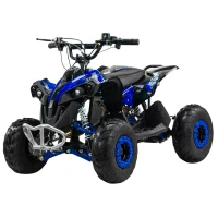 Электрический квадроцикл QMC Renegate 48V 1200W Shaftdrive