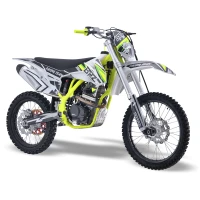 Эндуро мотоцикл BRZ X5M 250cc