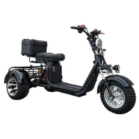 Электроскутер Smart8 Bulbash X12 Trike