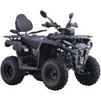 Квадроцикл AVM Adventure 250 NEW ЭПТС