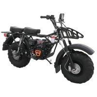 Мотоцикл внедорожный СКАУТ 2F PLUS-8Е+