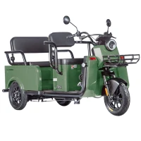 Электротрицикл Wanshida LC-F200 60V 1000Вт