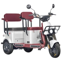 Электротрицикл Wanshida U1-X 60V 800Вт