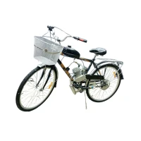 stels-navigator-300-s-motorom