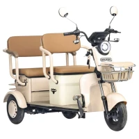Электротрицикл Rutrike Gelbert Atlas 48V/60V 600Вт