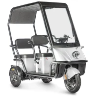 Электротрицикл Wanshida NIPLA 500 60V 1000Вт