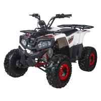 Квадроцикл YACOTA FUSION 125cc (мотокомплект)