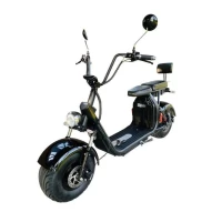 citycoco-elektroskuter-truck-x8