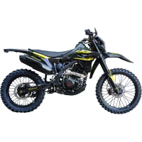 Кроссовый мотоцикл BSE Z9 Yellow Metallic T (ZS175FMM-5)