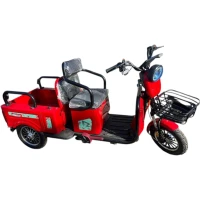 Электротрицикл BEBIB Model Trike Pro