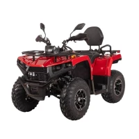 Купить электроквадрицикл Bizon YK250EL LUX