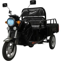 Грузовой электротрицикл BNP Zevs ULTRA MINI