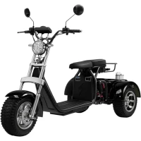 Электротрицикл BNP CITY TRIO 300